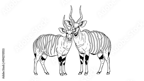 Majestic Antelopes Embrace: Two striking antelopes, their intricate horn configurations a testament to their strength and vitality, share a moment of connection against a stark, compelling canvas.