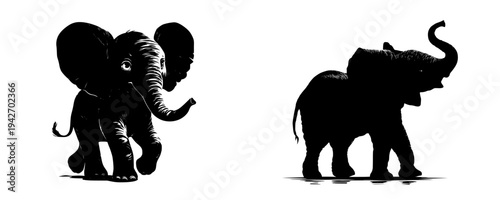 Elephant Twin Adventure