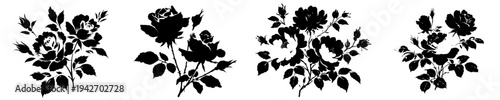 Elegant Black and White Floral Art
