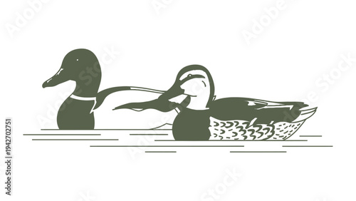 Duck Duo: A pair of serene ducks glide gently across the water. A graphic representation of peace and nature.