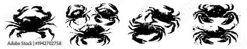 The Silhouette of a Sea Crab, a Watercolor Illustration