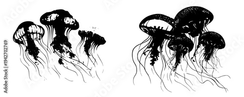 Elegant Silhouette of Three Jellyfish in Black and White