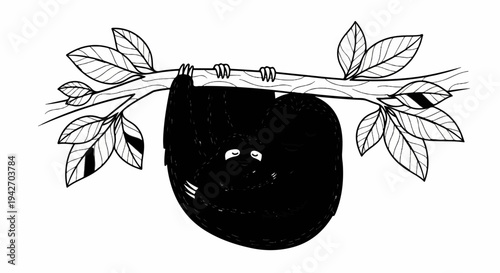 Two cute sloths hanging from a branch in a tree, one hugging another