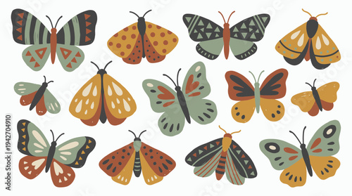 Set of various colorful hand drawn butterflies and moths with decorative patterns isolated on white background, concept for textile design, stationery printing and nature education