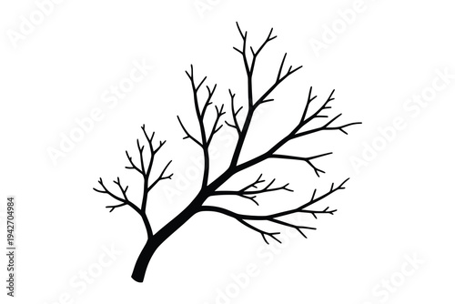 Bare tree branch silhouette