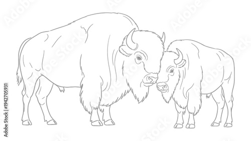 American Buffalo in Nature: Two majestic American buffalo, portrayed in a monochrome style, stand side by side, capturing the spirit of the untamed American landscape.