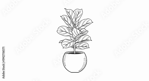 A potted plant with large, patterned leaves is depicted in a simple outline
