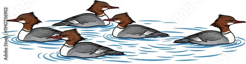 Six ducks swimming in blue water