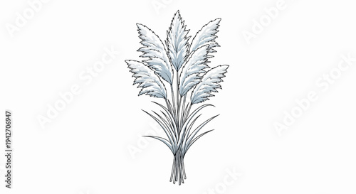 Stylized illustration of ornamental grass plumes and leaves on a white background