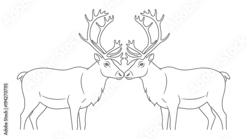 Reindeer Duo with Majestic Antlers: Two reindeer stand face-to-face, their magnificent antlers almost touching, presented in a clean, illustrative line art style.