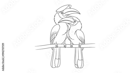 Hornbill Duo on Perch: A black and white line art illustration depicts two hornbills perched together.