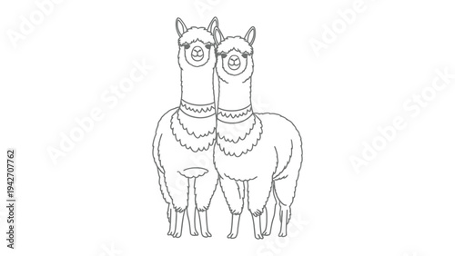 Pair of Llamas: A charming duo of llamas, standing close together. the scene evokes a sense of companionship. Lines are crisp and defined, highlighting their unique features.