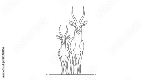 Linear Antelopes Portrait: A minimalist linear art piece, depicting two majestic antelopes, standing tall with their elegant horns. a timeless depiction of grace and wild beauty.