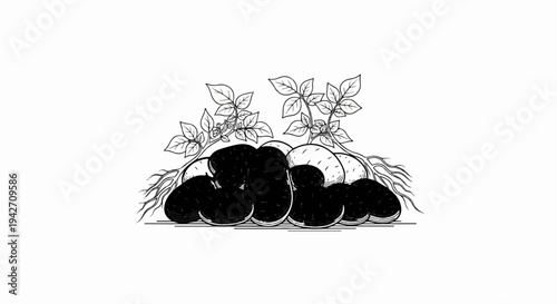 Freshly harvested potatoes with leafy green tops and roots