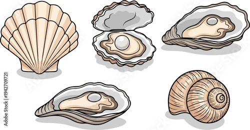 Five assorted shells, including oysters with pearls and a coiled snail shell