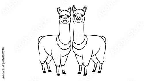 Llama Duo: Two adorable llamas stand side-by-side, their long necks gracefully arched, exuding a sense of tranquility and companionship.