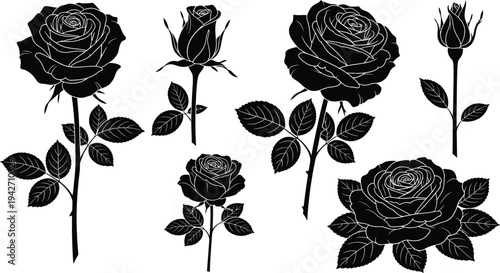 Black and white illustration of roses and rosebuds with leaves