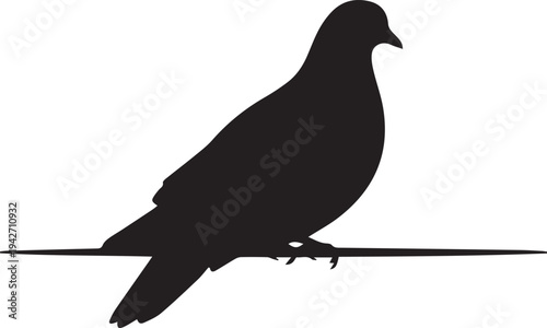 A pigeon bird sitting on a line in a vector silhouette illustration line art