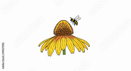 Yellow flower with a bee