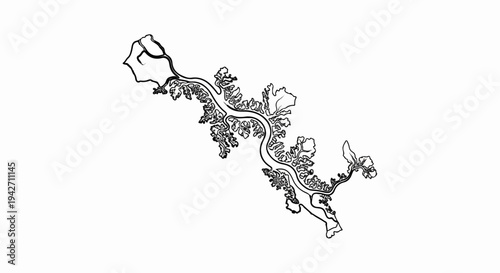 Abstract, flowing line art depicts a stylized, winding river system