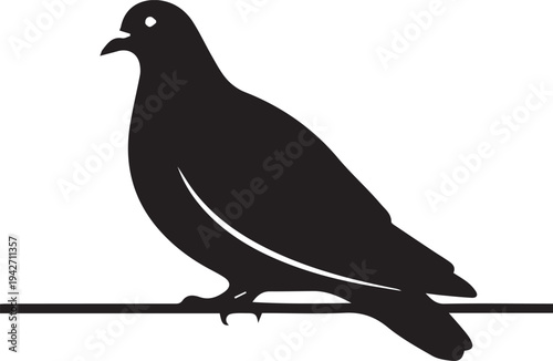 Pigeon bird perched on branch, vector silhouette illustration line art