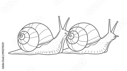 Snails in Embrace: Two snails share a tender moment, their forms intertwined in a loving embrace, conveying themes of connection and affection.