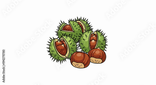 A collection of prickly green husks revealing smooth brown seeds