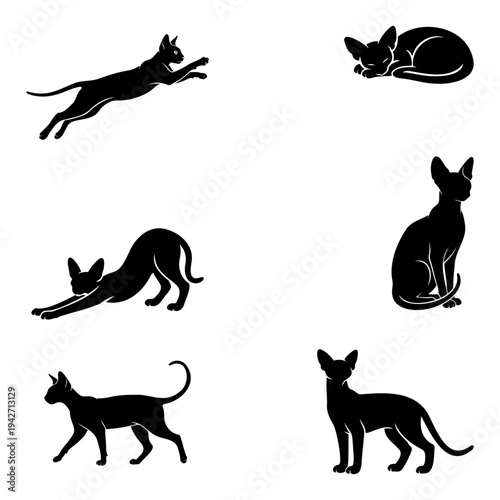Sphynx Cat Silhouettes Vector - Minimalist Hairless Cat Icons for Logo and Vinyl Cutting