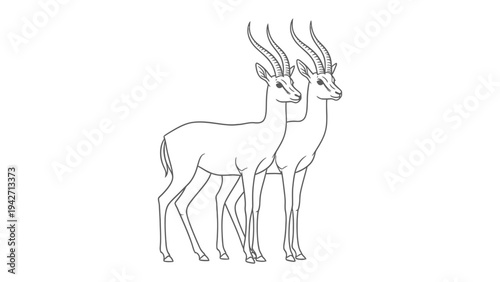 Antelope Duo: A graceful depiction of two majestic antelopes standing side by side, their slender bodies and impressive horns outlined against a clean backdrop.