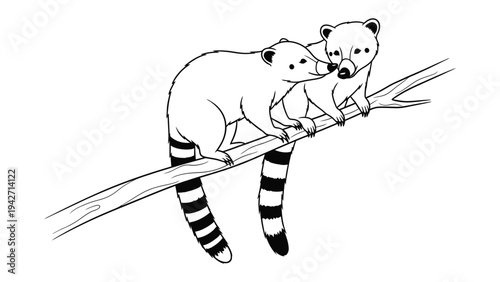 Coati Family on a Branch: Adorable coati family sitting side-by-side on a tree branch, capturing the sweet bond of parenthood in a natural habitat.