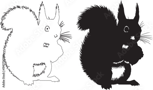 Detailed squirrel illustrations in black and white