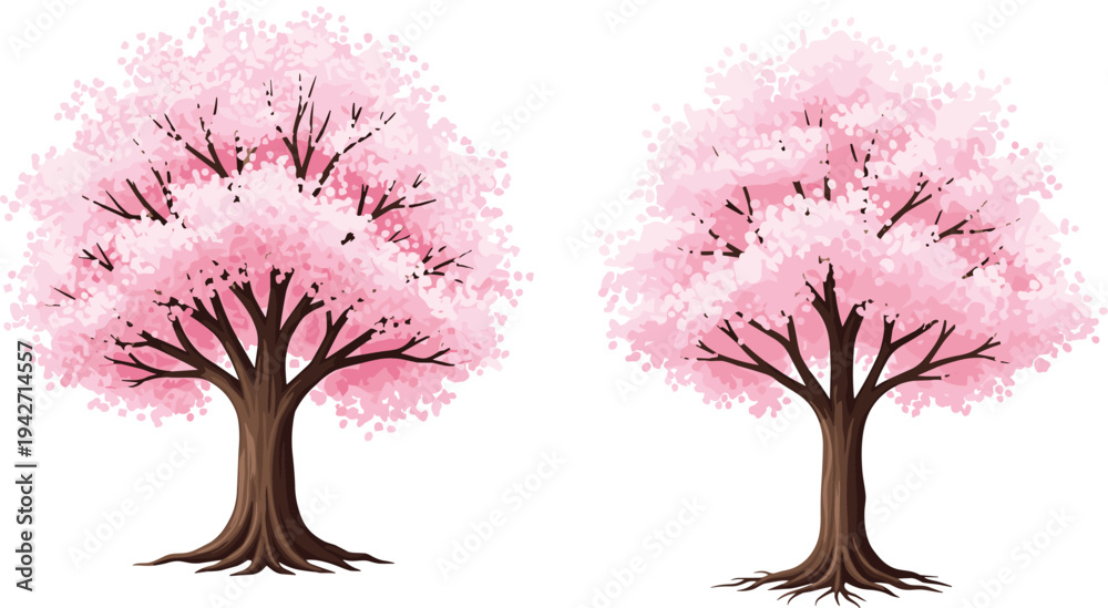 Obraz premium Pink cherry blossom trees vector illustration isolated on white background spring sakura floral tree nature decorative landscape design element