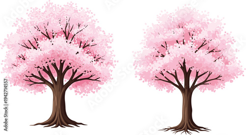 Pink cherry blossom trees vector illustration isolated on white background spring sakura floral tree nature decorative landscape design element