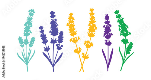 Colorful lavender floral set for vector design use.