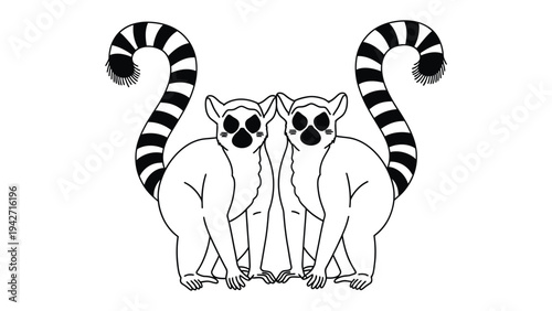 Pair of Ring-tailed Lemurs in Monochrome: A striking illustration captures the distinctive appearance of two ring-tailed lemurs, their iconic striped tails arching symmetrically, presented in a bold.