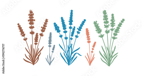Colorful lavender flower set in vector plant style.