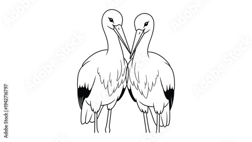 Monochrome Storks: Two graceful storks, depicted in monochrome, stand facing each other, their beaks almost touching in a gesture of unity and peace. A simple yet elegant illustration.