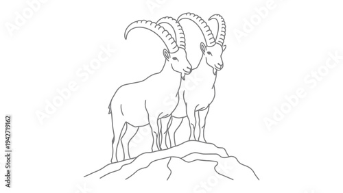 Mountain Ibex Silhouette: A captivating silhouette of two mountain ibex, their magnificent horns proudly displayed as they stand atop a rocky outcrop. A testament to nature's artistry
