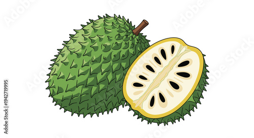 Fresh soursop fruit also known as guanabana is shown whole and sliced in half revealing its white pulp and black seeds inside.