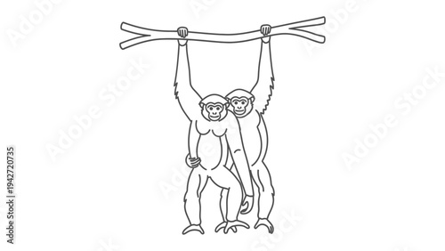 Gibbons on a Branch: Two gibbons, depicted in a clean, minimalist line drawing, hang together from a tree branch, creating a heartwarming scene of companionship. 