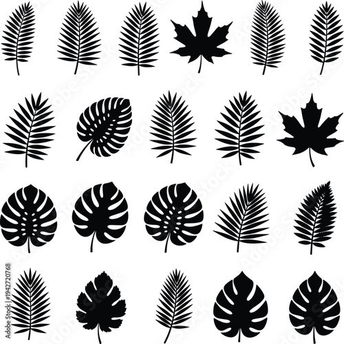 Tropical leaf silhouette vector set with palm, monstera and maple leaves, black botanical foliage icons collection isolated on white background for nature designv