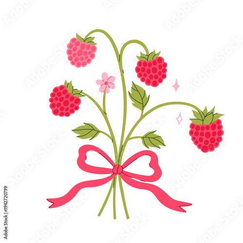 A bouquet of raspberry branches on a white background. Vector graphics.