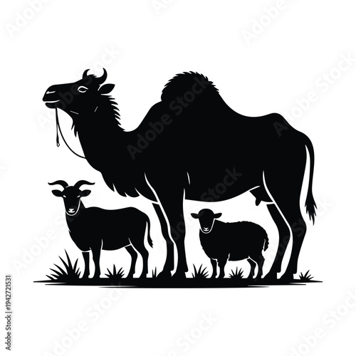 Silhouette of camel and young farm animals in natural setting