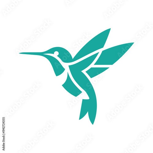 Graceful hummingbird in mid-flight with outstretched wings and long beak