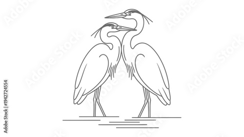 Elegant Egrets: Two graceful egrets, rendered in a minimalist style, stand in a serene aquatic environment, their forms creating a harmonious display of natural elegance.