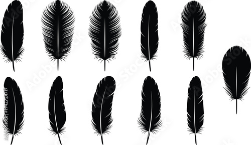 Vector collection of eleven detailed bird feather silhouettes in various shapes and textures isolated on white background for tribal and bohemian design