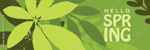 Hello Spring banner with fresh green leaves and soft grainy texture. Bright seasonal illustration for promotions, greeting cards and spring campaigns