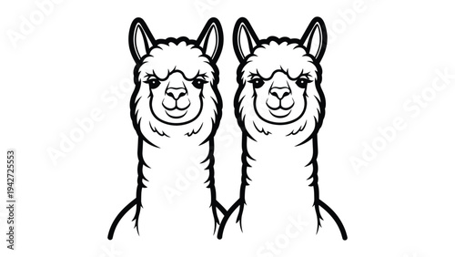 Alpaca Duo: A charming duo of alpacas stand side-by-side, their distinctive features and soft expressions. A picture of serenity, harmony and peace.