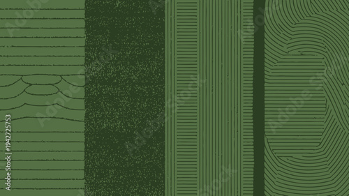 This image displays four distinct green textured patterns arranged side by side showcasing varied linear and organic designs high quality professional detailed modern elegant stylish clean
