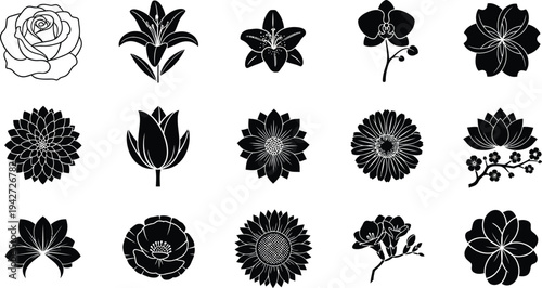 Black and white floral silhouettes on white background flowers 1